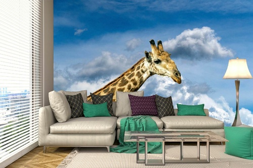 Vlies Fototapete - Giraffen im Kruger-Park 375 x 250 cm